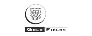 Gold Fields